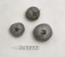 Click for 1 image(s) for this accession. FRUIT